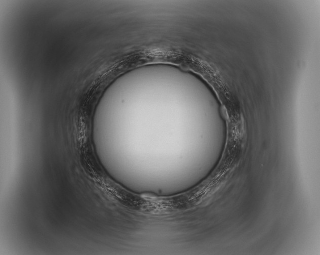 X0000116641253200912210954