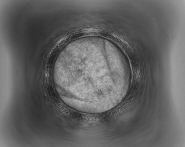 X0000116641254200912210954