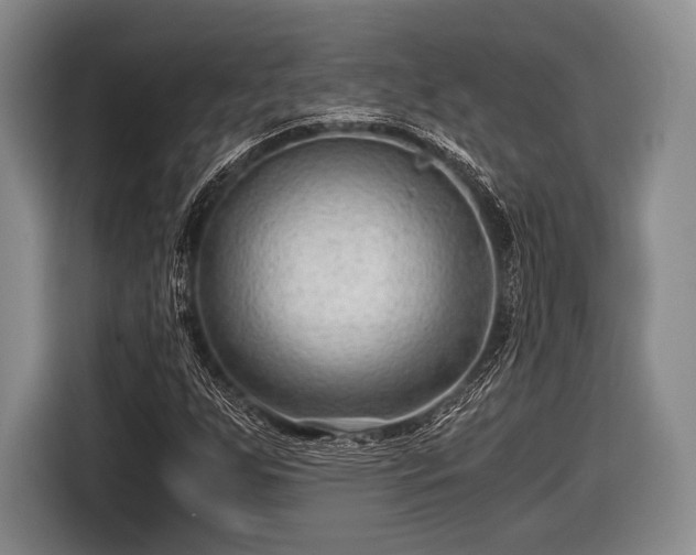 X0000116641255200912210954