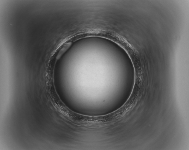 X0000116641256200912210954