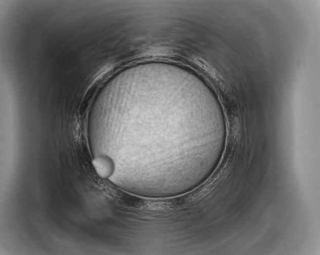 X0000116641258200912210954