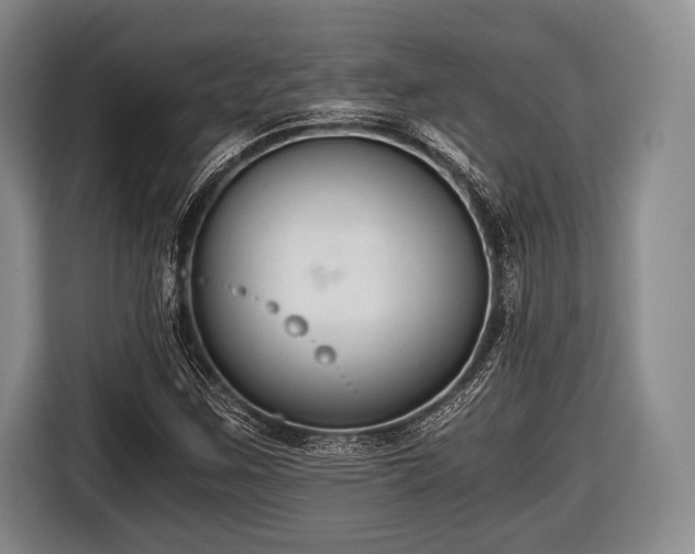 X0000116641259200912210954