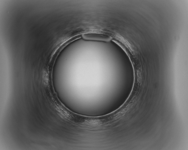 X0000116641260200912210954