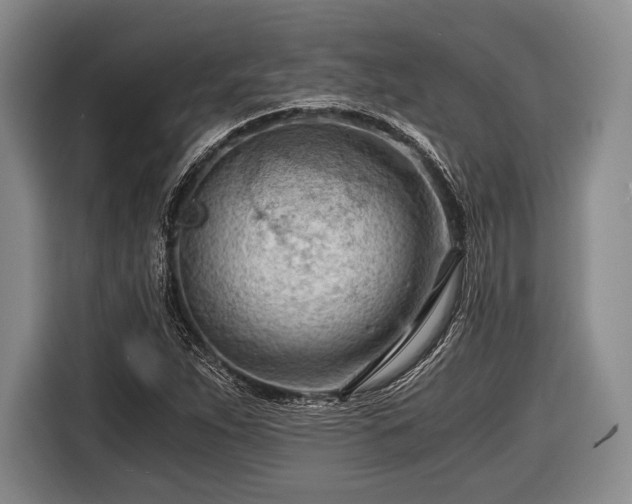 X0000116641263200912210954