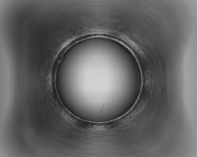 X0000116641264200912210954