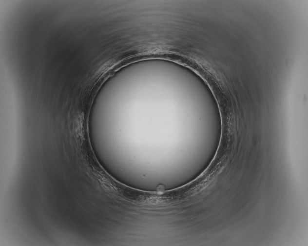 X0000116641265200912210954