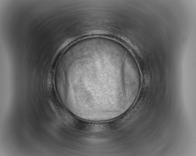 X0000116641266200912210954