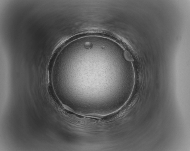 X0000116641267200912210954