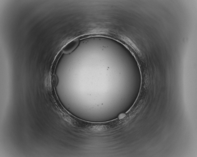 X0000116641268200912210954