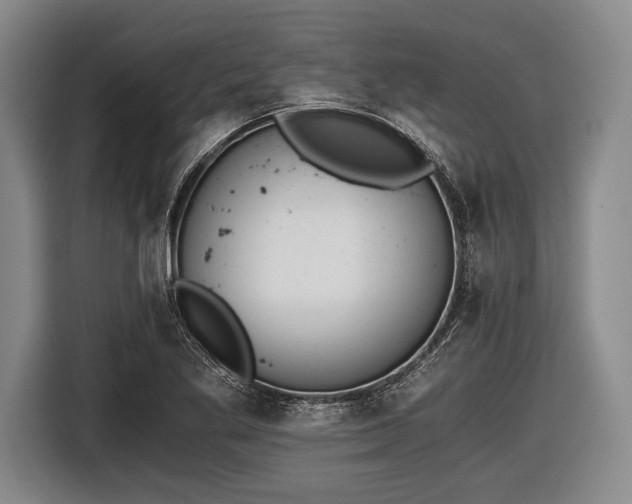 X0000116641269200912210954