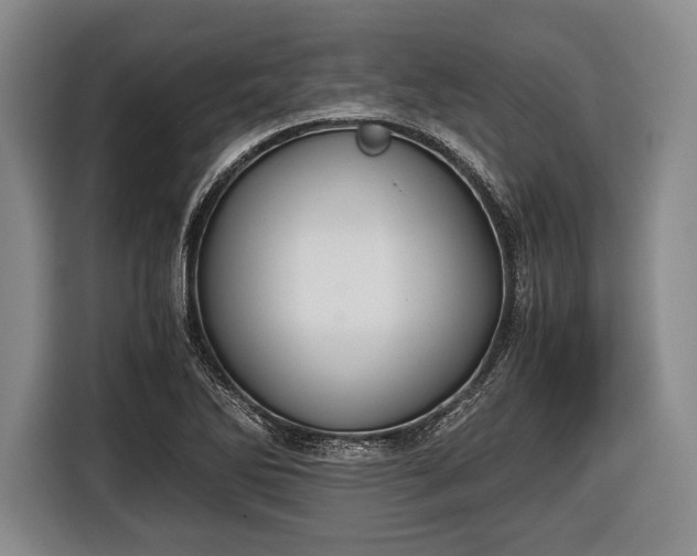 X0000116641270200912210954