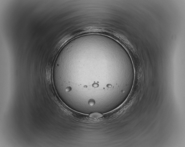 X0000116641273200912210954