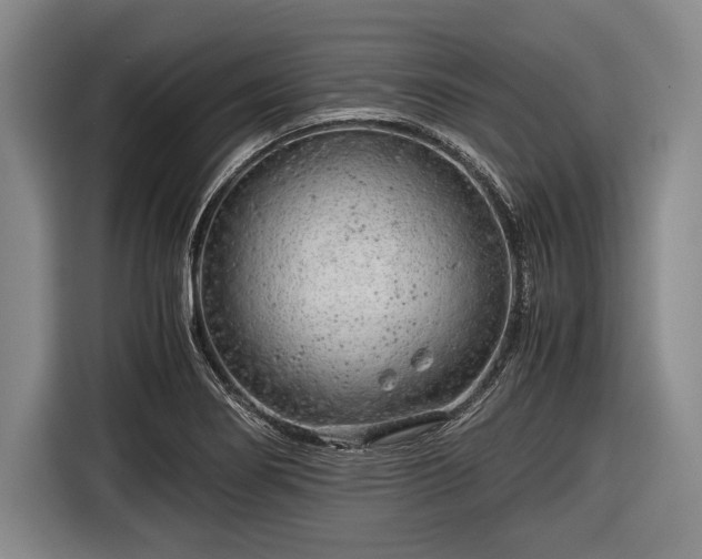 X0000116641274200912210954