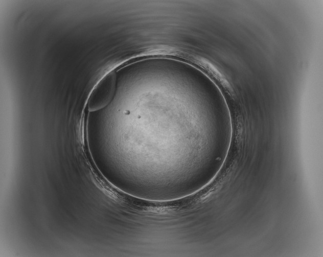 X0000116641276200912210954