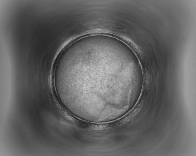 X0000116641278200912210954