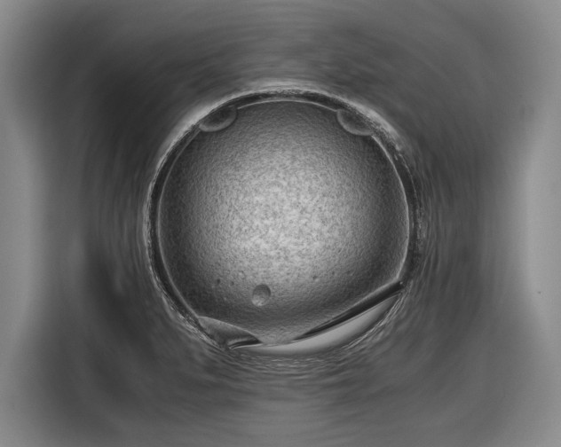 X0000116641279200912210954