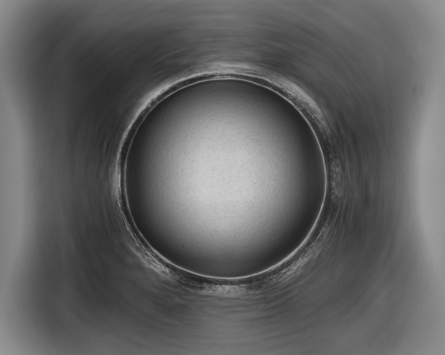 X0000116641280200912210954