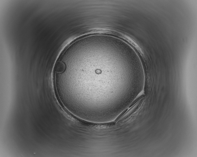 X0000116641283200912210954