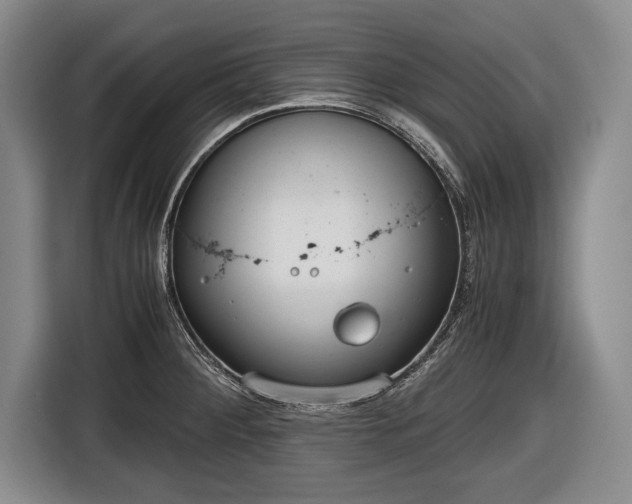 X0000116641284200912210954