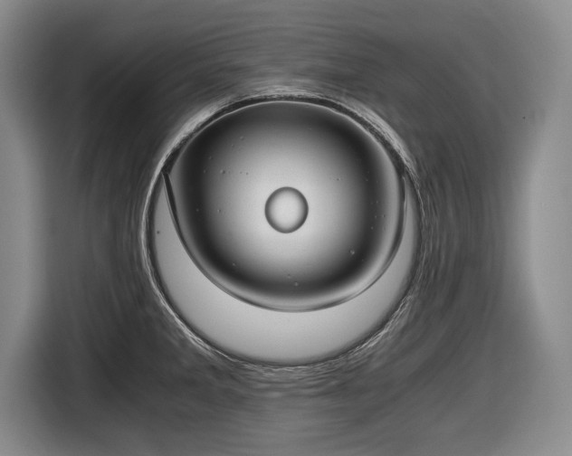 X0000116641285200912210954