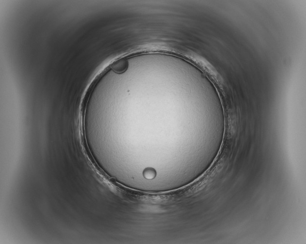 X0000116641286200912210954