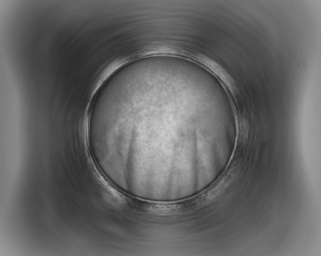 X0000116641290200912210954