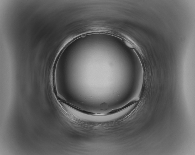 X0000116641291200912210954