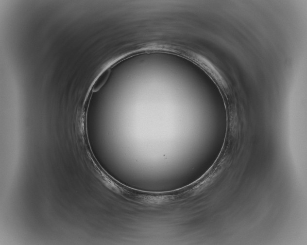 X0000116641292200912210954