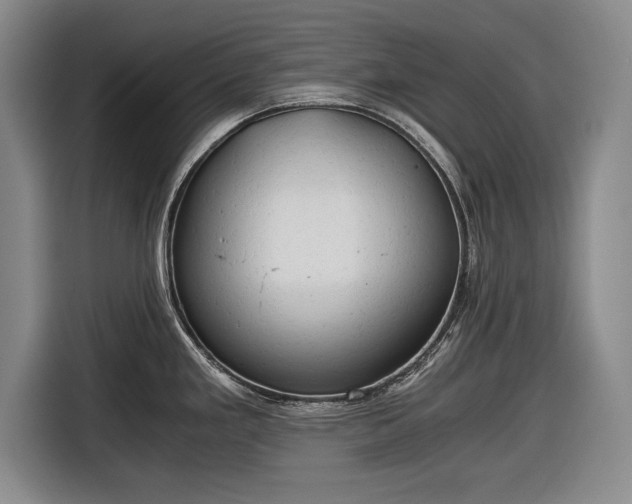 X0000116641293200912210954