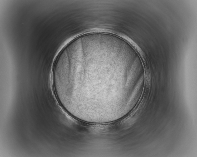 X0000116641294200912210954