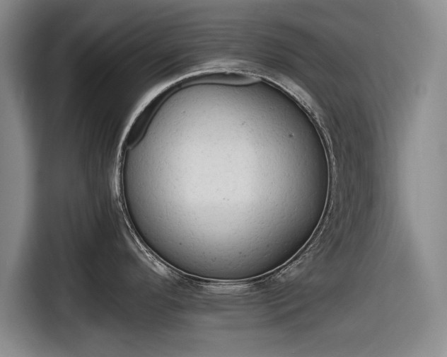 X0000116641296200912210954