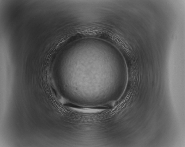 X0000116641297200912210953