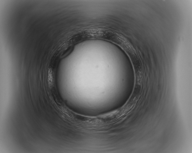 X0000116641298200912210953