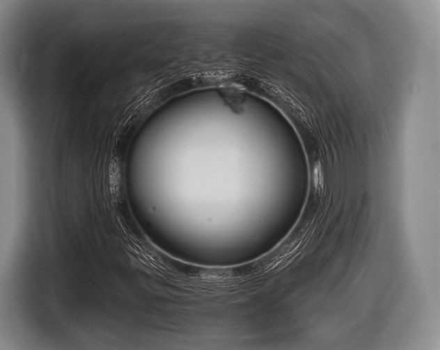 X0000116641299200912210953