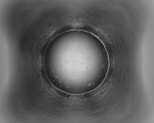 X0000116641301200912210953