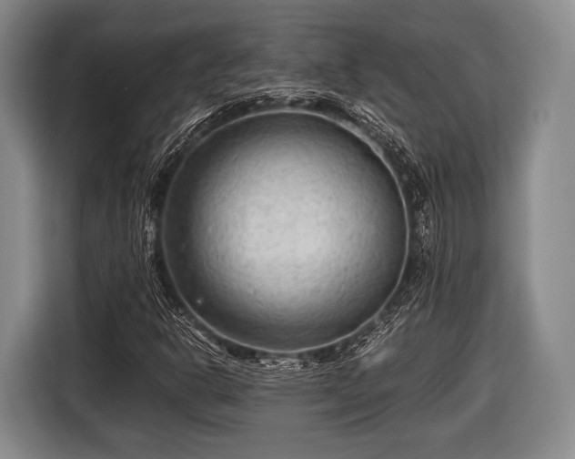 X0000116641302200912210953