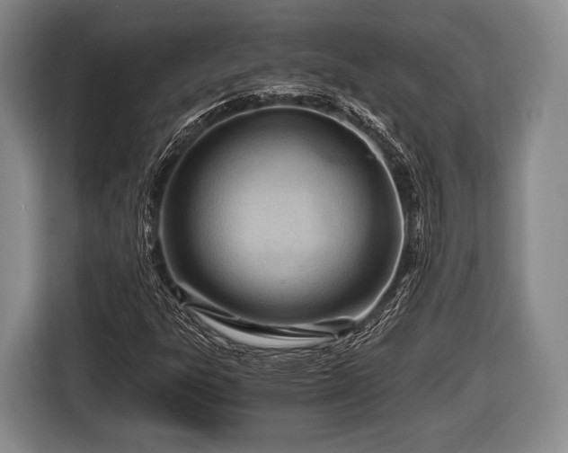 X0000116641303200912210953