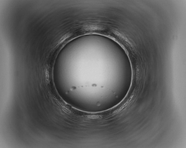 X0000116641305200912210953