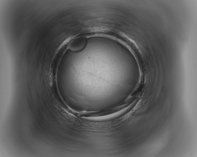 X0000116641306200912210953