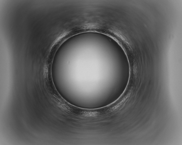 X0000116641309200912210953