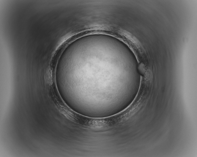 X0000116641310200912210953