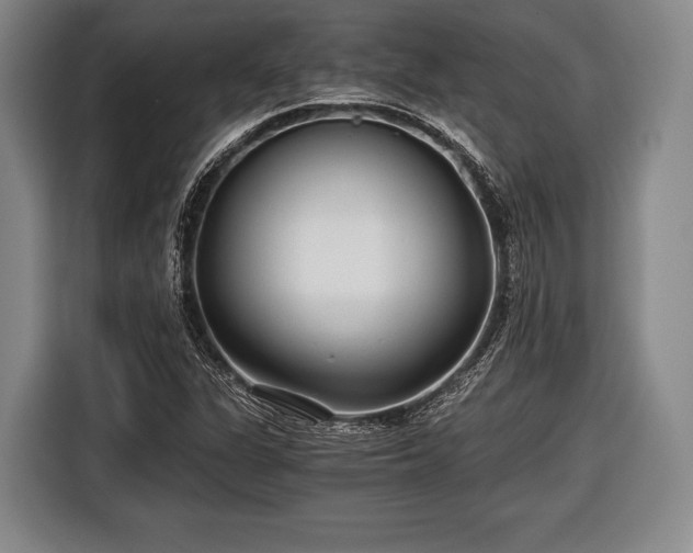 X0000116641311200912210953