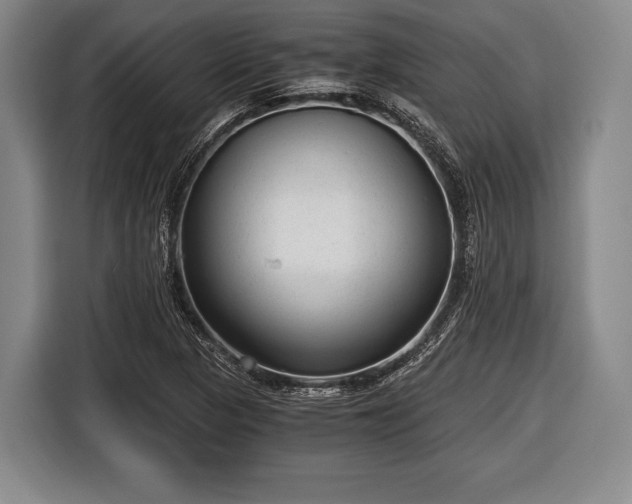 X0000116641313200912210953