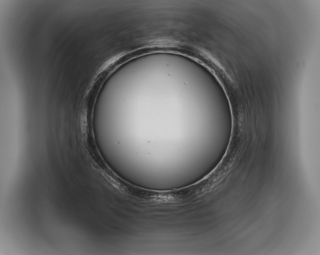 X0000116641315200912210953