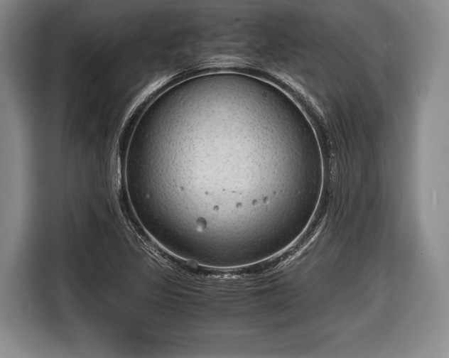 X0000116641317200912210953