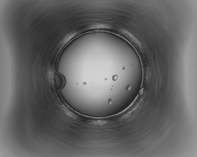 X0000116641321200912210953