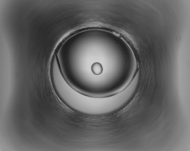 X0000116641326200912210953