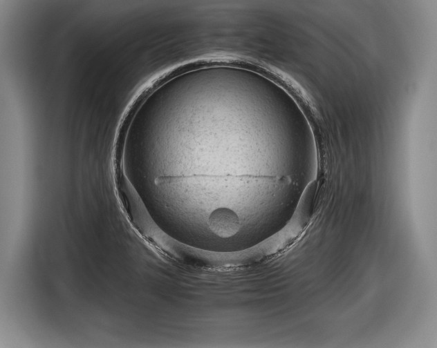 X0000116641327200912210953