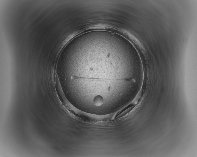 X0000116641329200912210953