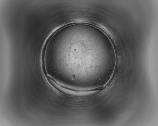 X0000116641331200912210953